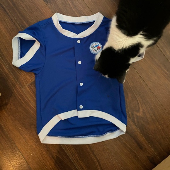 Toronto Blue Jays authentic gear pet jersey - Picture 4 of 4